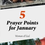 prayer points for january pin
