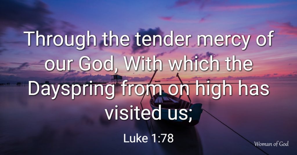 Luke 1:78 Bible Verse