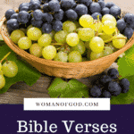 Bible Verses About Grapes pins