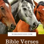 Bible Verses About Horses