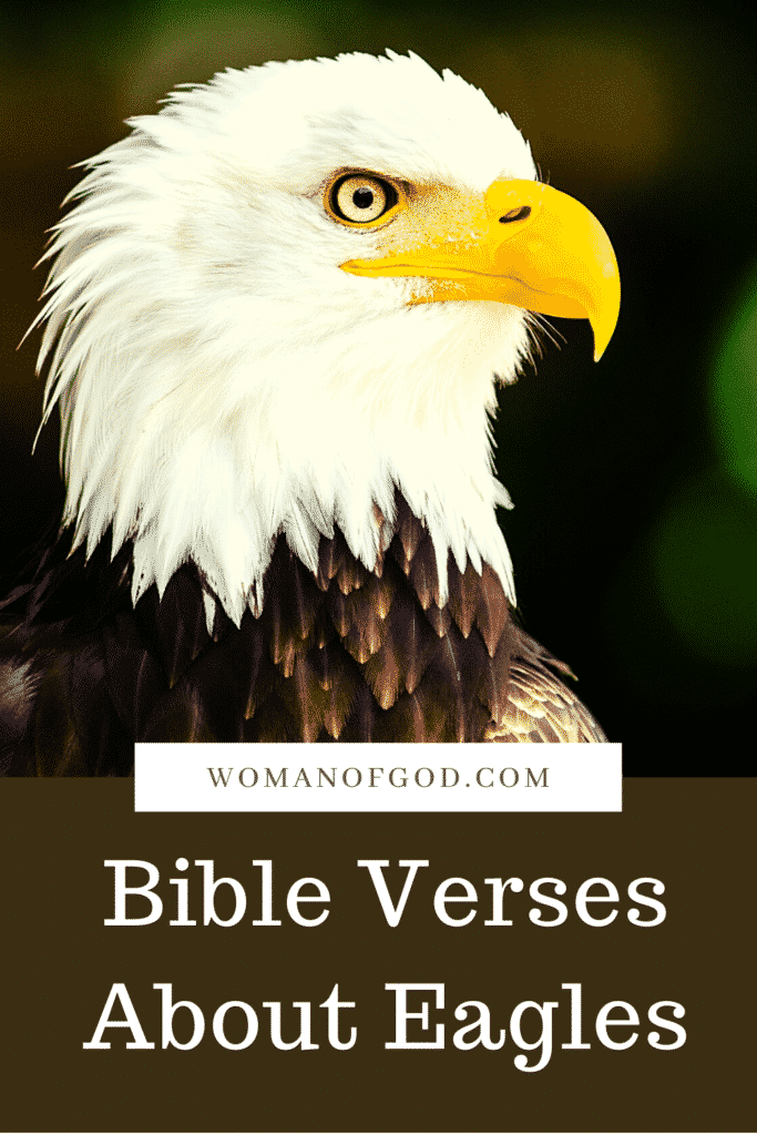 Bible Verses About Eagles pins