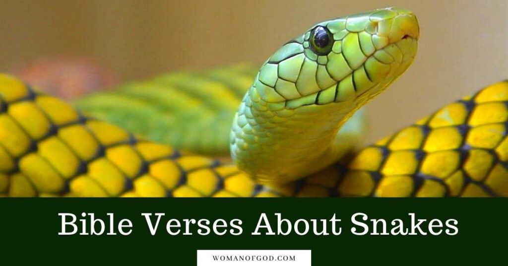 Bible Verses About Snakes