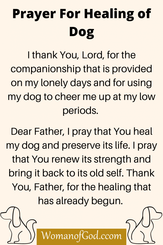 Prayer For Healing of Dog