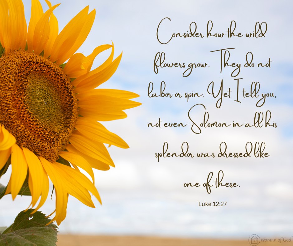 Bible Verses With Sunflowers Luke 12:27