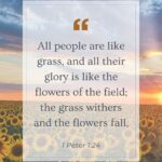 Sunflower Verse 1 Peter 1:24