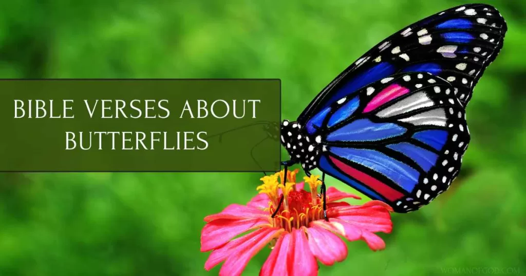 Bible Verses About Butterflies