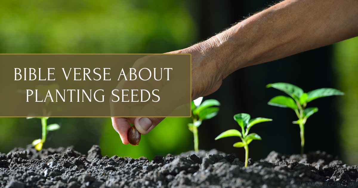 Bible Verses About Planting Seeds